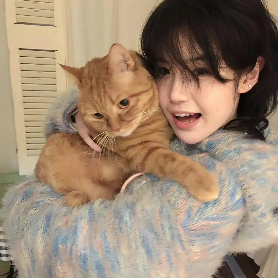 这个美好的世界